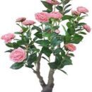 Artificial Pink Rose Flower