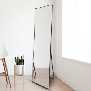 Aluminum Full Length Wall Mirror