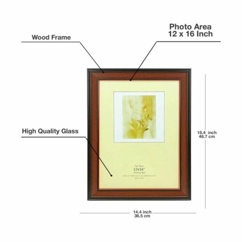 Document & Photo Frame for Wall Mount & Tabletop Display, available in A4, 8x12, 12x16, and 16x20 inch sizes.