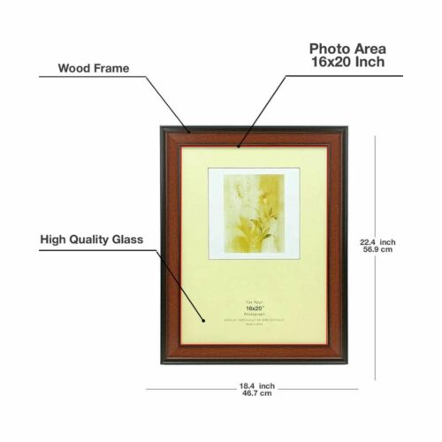 Document & Photo Frame for Wall Mount & Tabletop Display, available in A4, 8x12, 12x16, and 16x20 inch sizes.