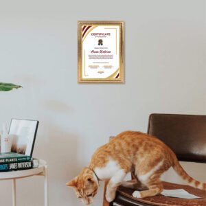 Gold A4 Classic Design Certificate Frame in 25.5x34.2 cm size, suitable for wall and tabletop display, featuring a certificate.