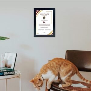 DECORHILLS A4 Certificate Frame & Document Frame – Real Glass, Wall Mount & Tabletop Display, Portrait & Landscape, 21x29.7 cm (Black)